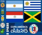 B grubu, Copa America 2015